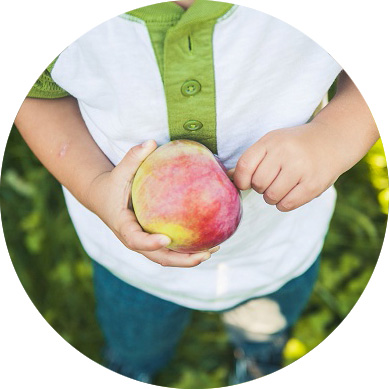 New Hampshire Family Photographer | {O Family at Carter Hill Orchard // Round&nbsp;One}