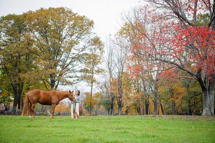 Girl brushing her horse in a field