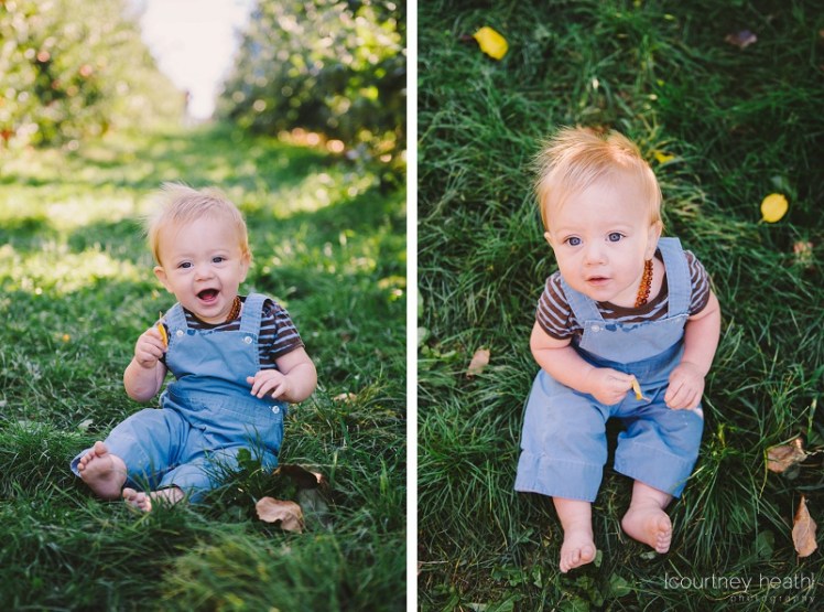 Happy baby in overalls sitting at an apple orchard